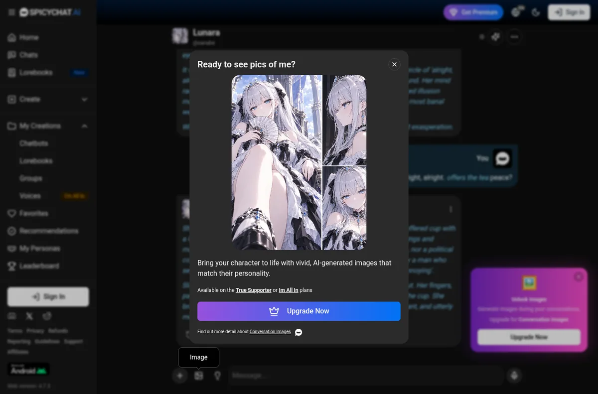 SpicyChat paywall for in-chat images